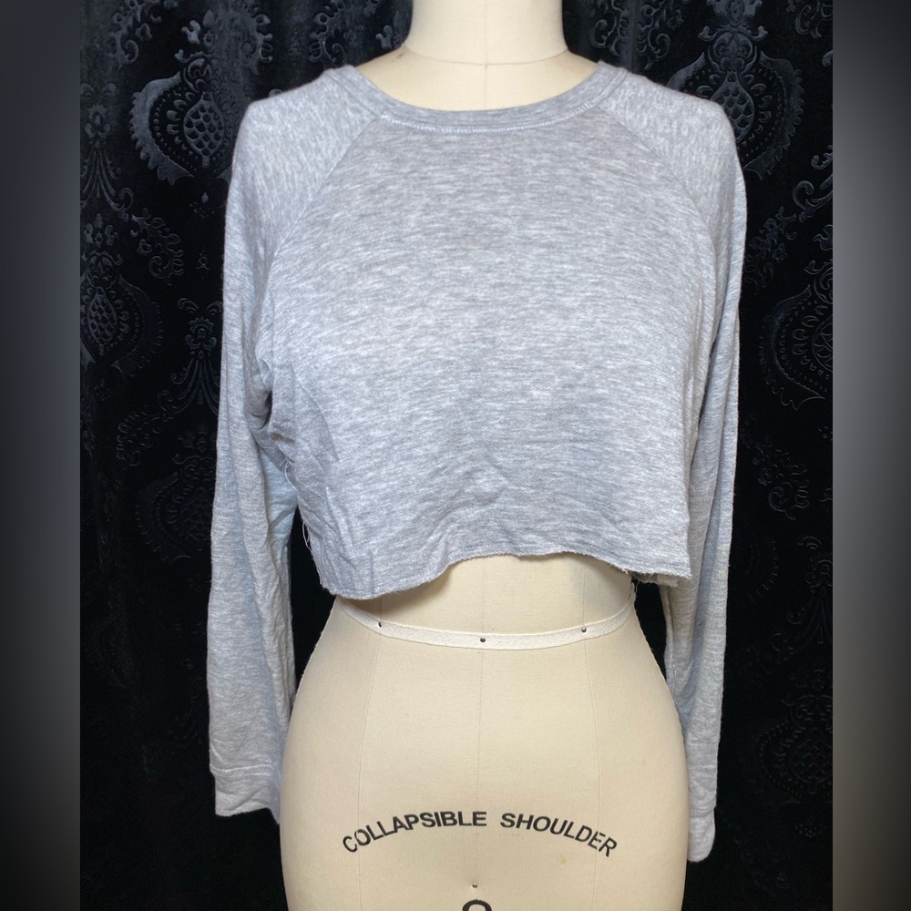 Gray Cropped Long Sleeve Hoodie
